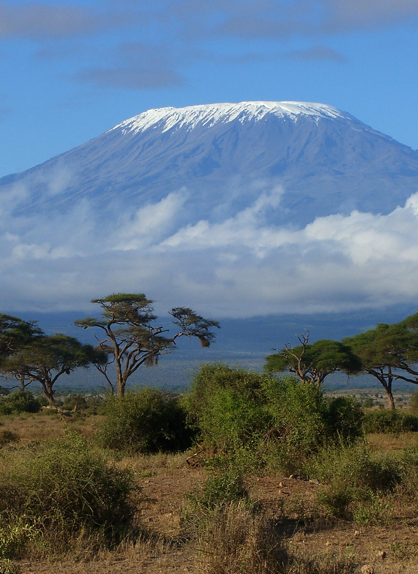 Kilimanjaro